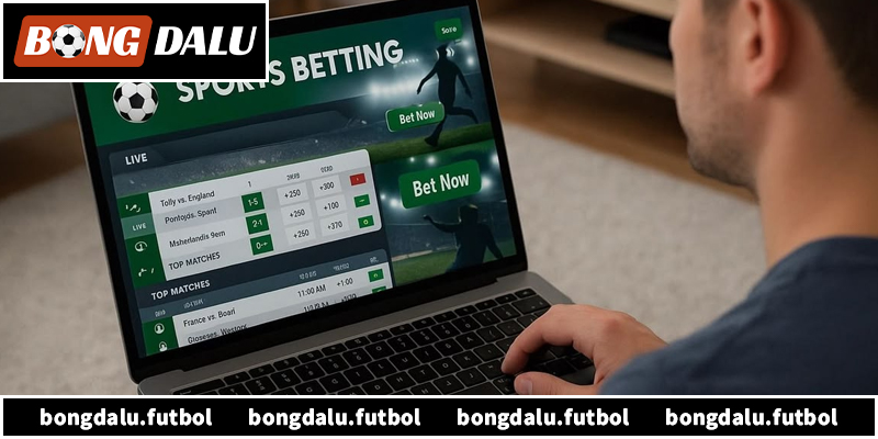 Giới thiệu chi tiết nền tảng xôi lạc tv