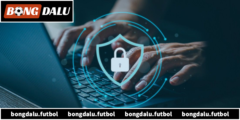 Khám phá chi tiết chính sách bảo mật