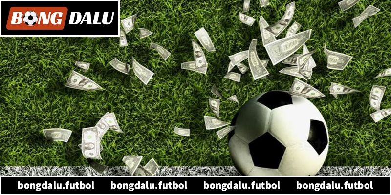 Khám phá chi tiết nền tảng bóng đá net