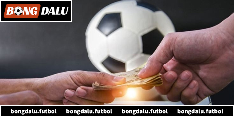 Khám phá về nền tảng bóng đá tv